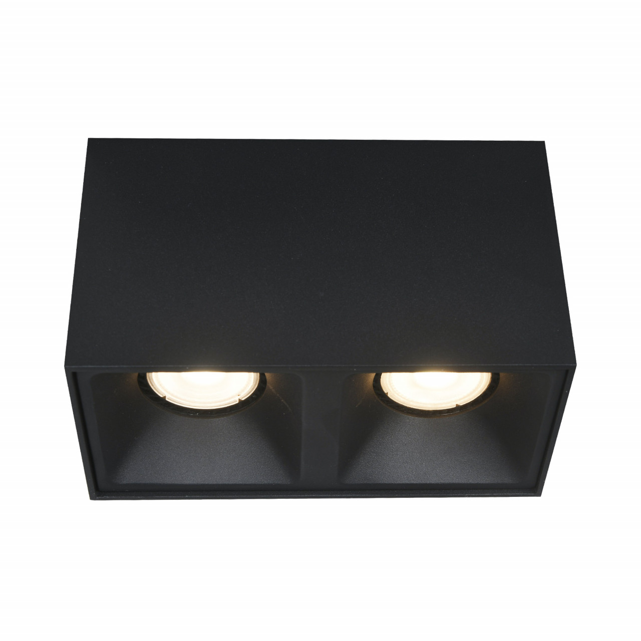 ST168.402.02 Светильник потолочный Черный GU10 2*50W IP20 L82,5xW165xH104 220V Без ламп - фото, цена