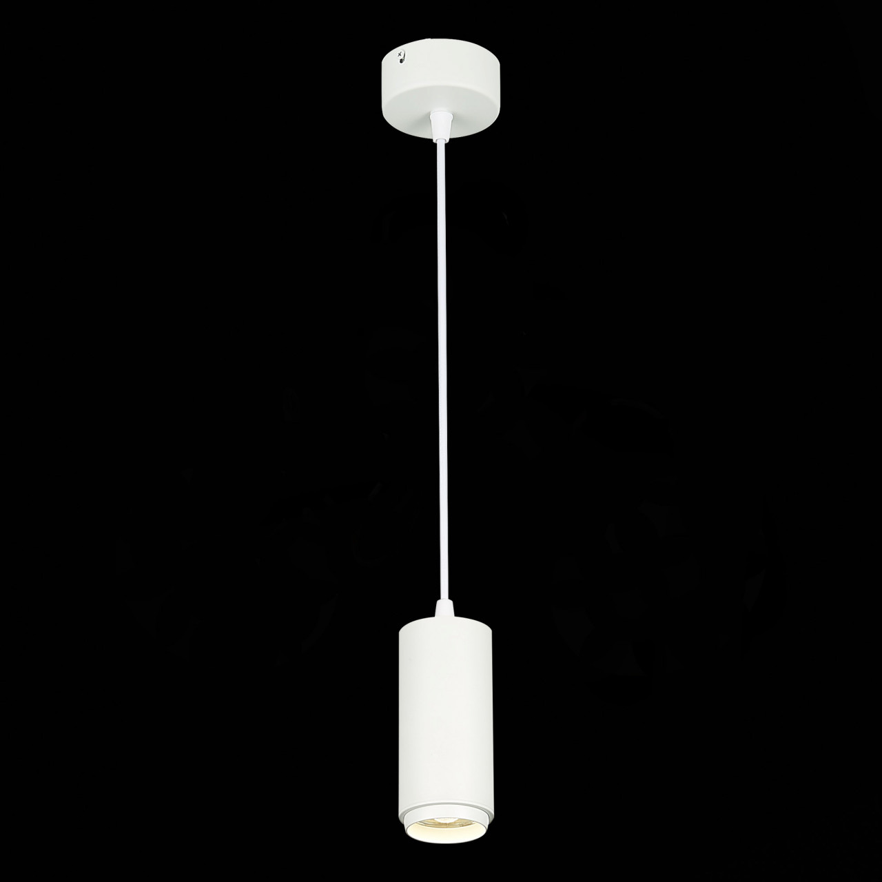 ST600.543.10 Светильник подвесной Zoom Белый LED 1*10W 4000K 1 000Lm Ra>80 15-60° IP20 D59xH130 170- - фото, цена