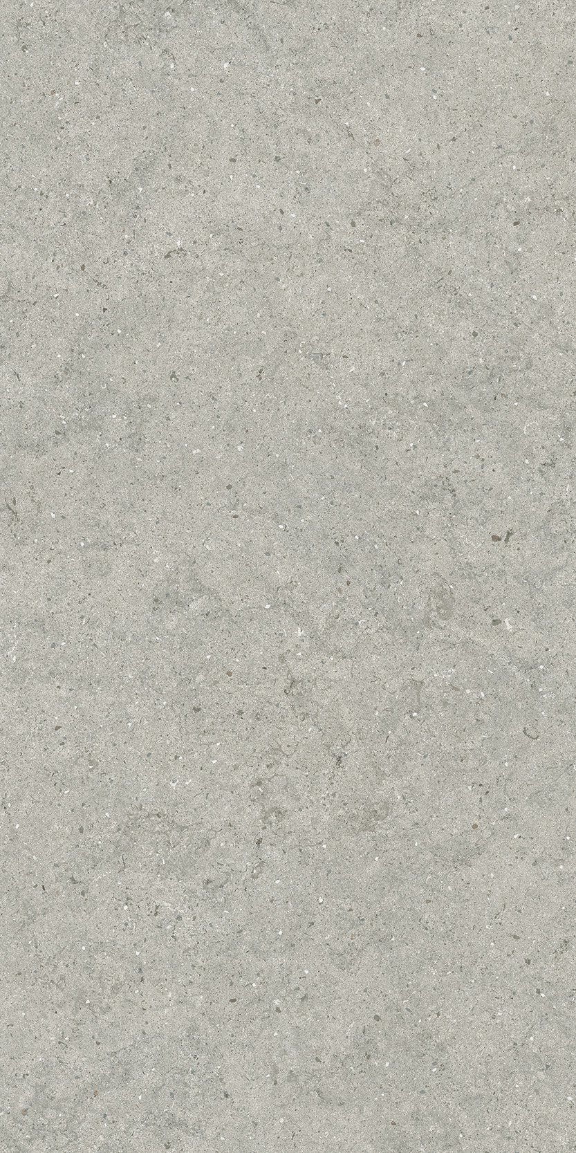 Форум Стоун Сильвер 60X120