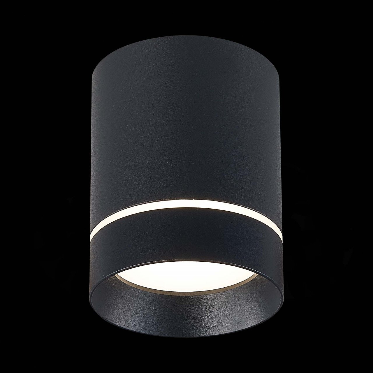 ST115.442.12 Светильник потолочный Черный LED 1*12W 4000K 840Lm Ra>90 120° IP20 D79xH100 170-240V - фото, цена