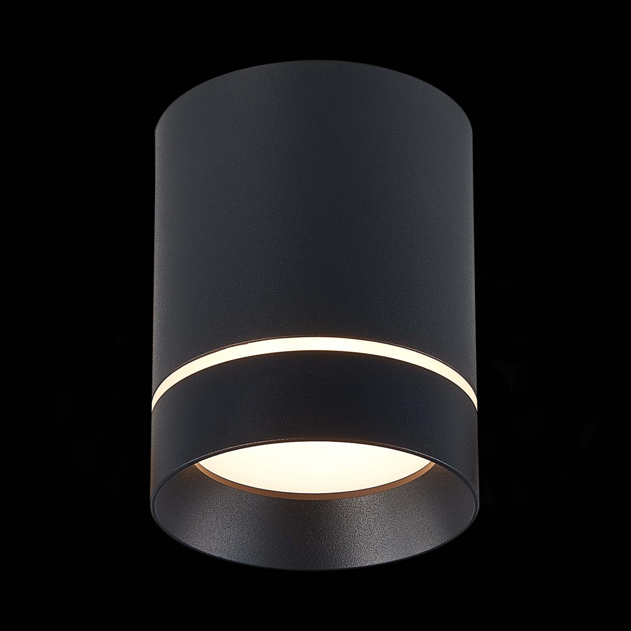 ST115.432.12 Светильник потолочный Черный LED 1*12W 3000K 840Lm Ra>90 120° IP20 D79xH100 170-240V - фото, цена