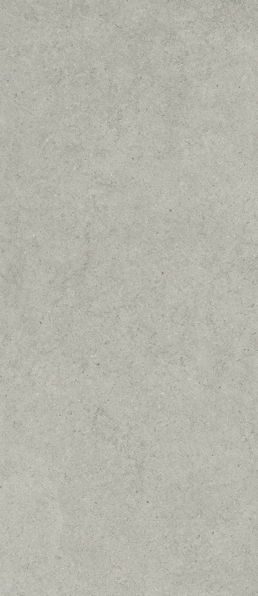 Форум Стоун Сильвер 120X278
