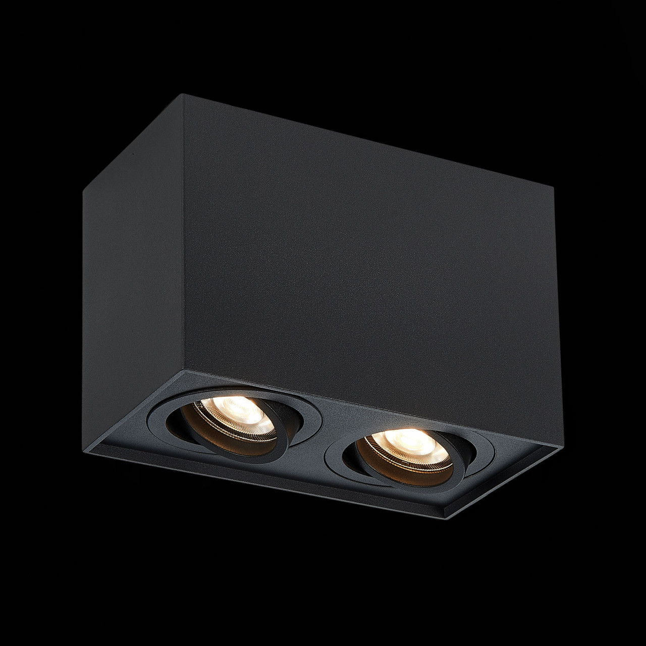 ST109.407.02 Светильник потолочный Черный GU10 2*50W  L181xW100xH123 220V Без ламп - фото, цена
