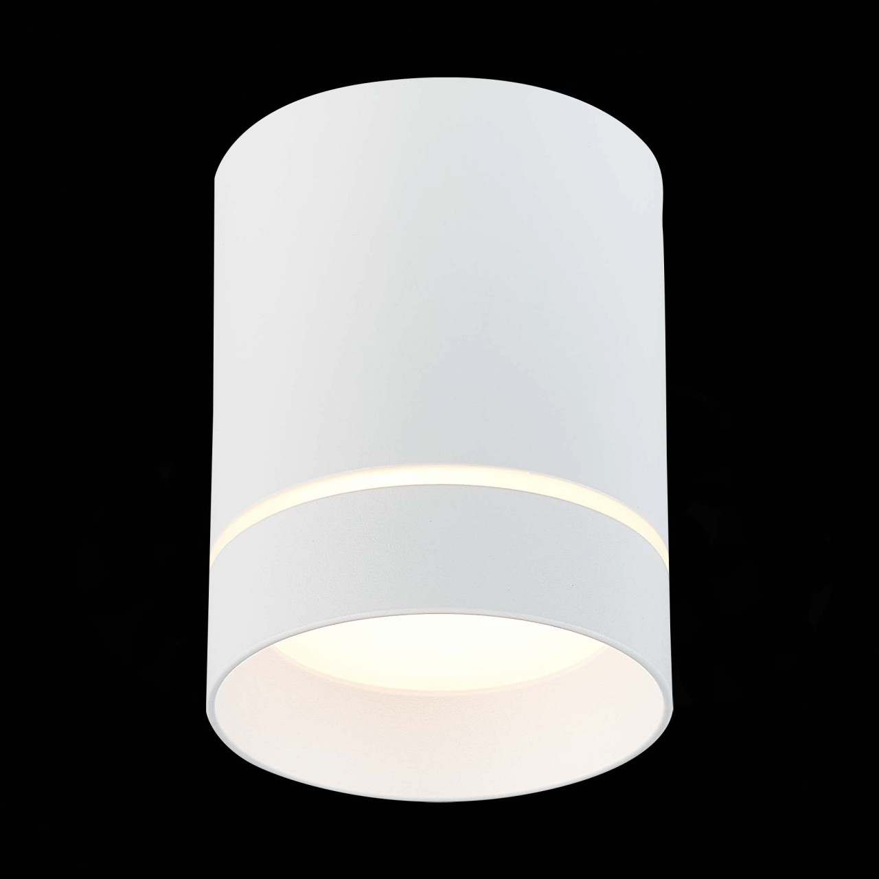 ST115.532.12 Светильник потолочный Белый LED 1*12W 3000K 840Lm Ra>90 120° IP20 D79xH100 170-240V - фото, цена