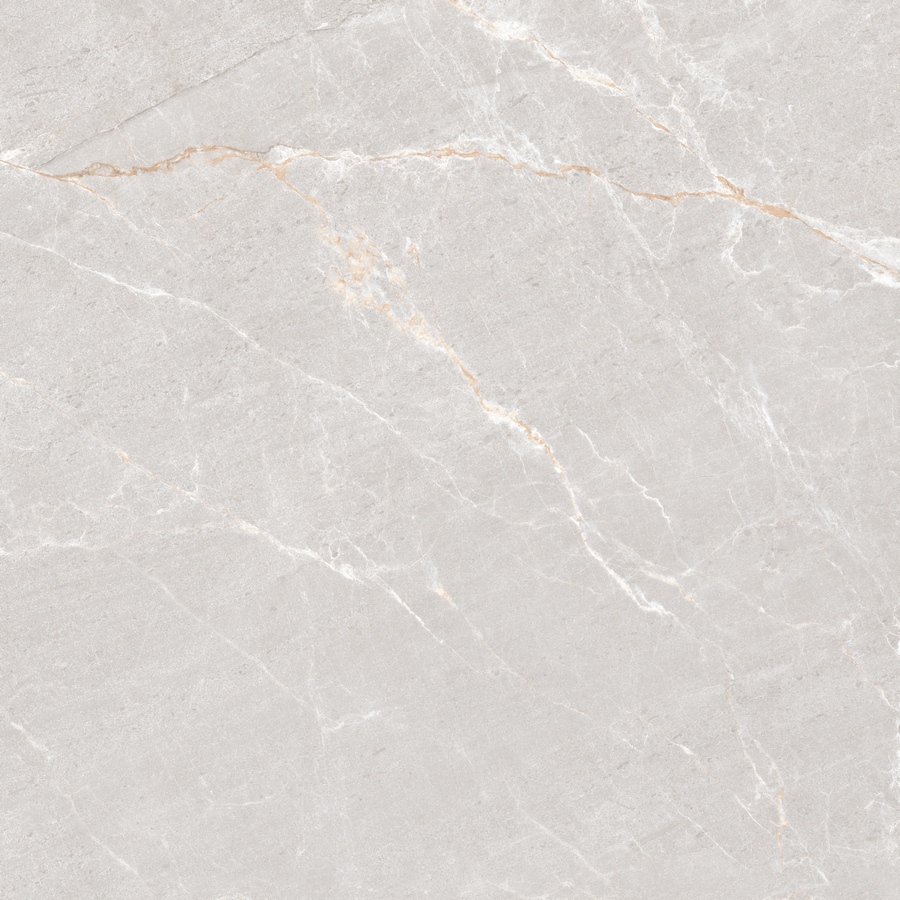 Керамогранит Neodom Stone Persian Grey Matt 120x120