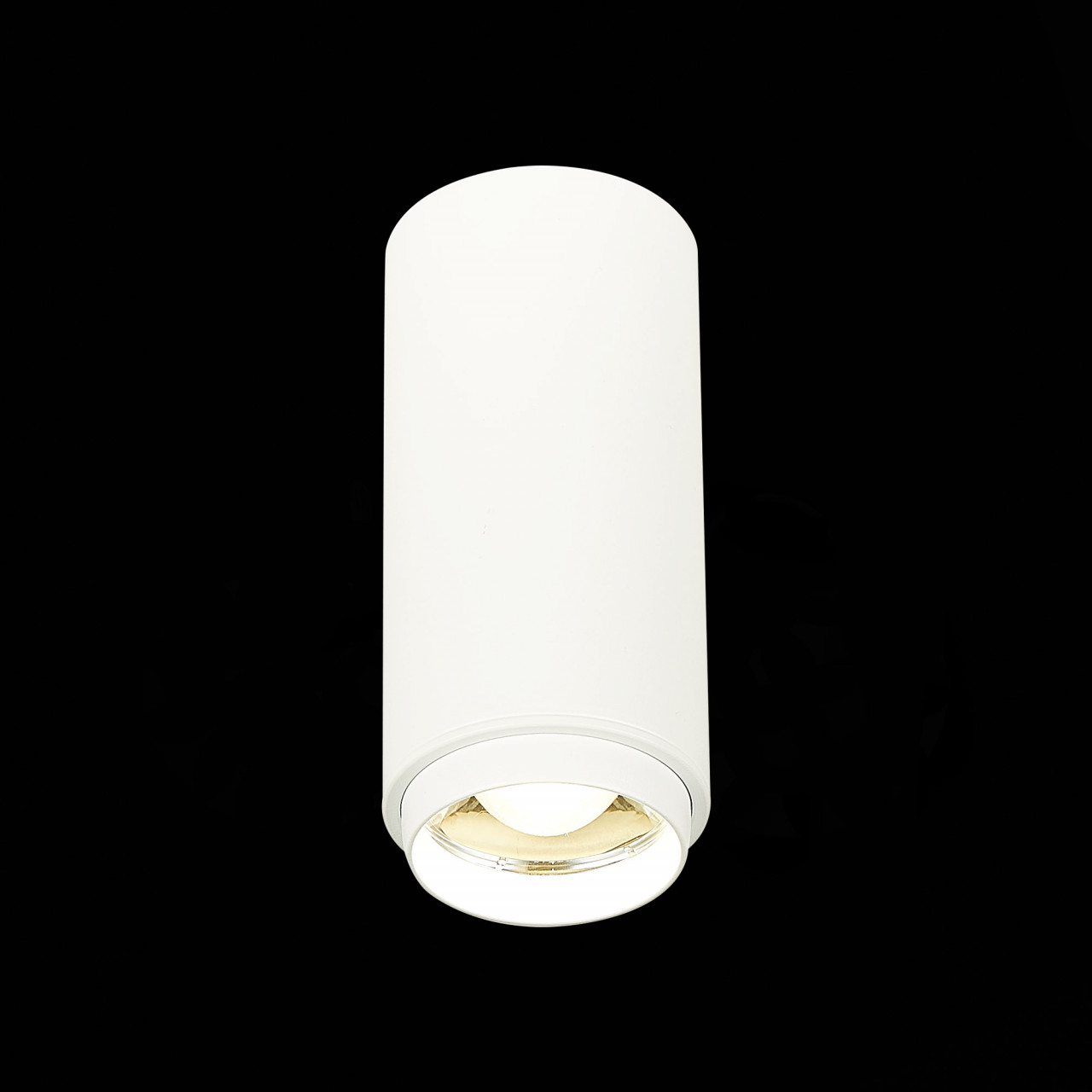 ST600.542.10 Светильник потолочный Zoom Белый LED 1*10W 4000K 1 000Lm Ra>80 15-60° IP20 D59xH130 170 - фото, цена