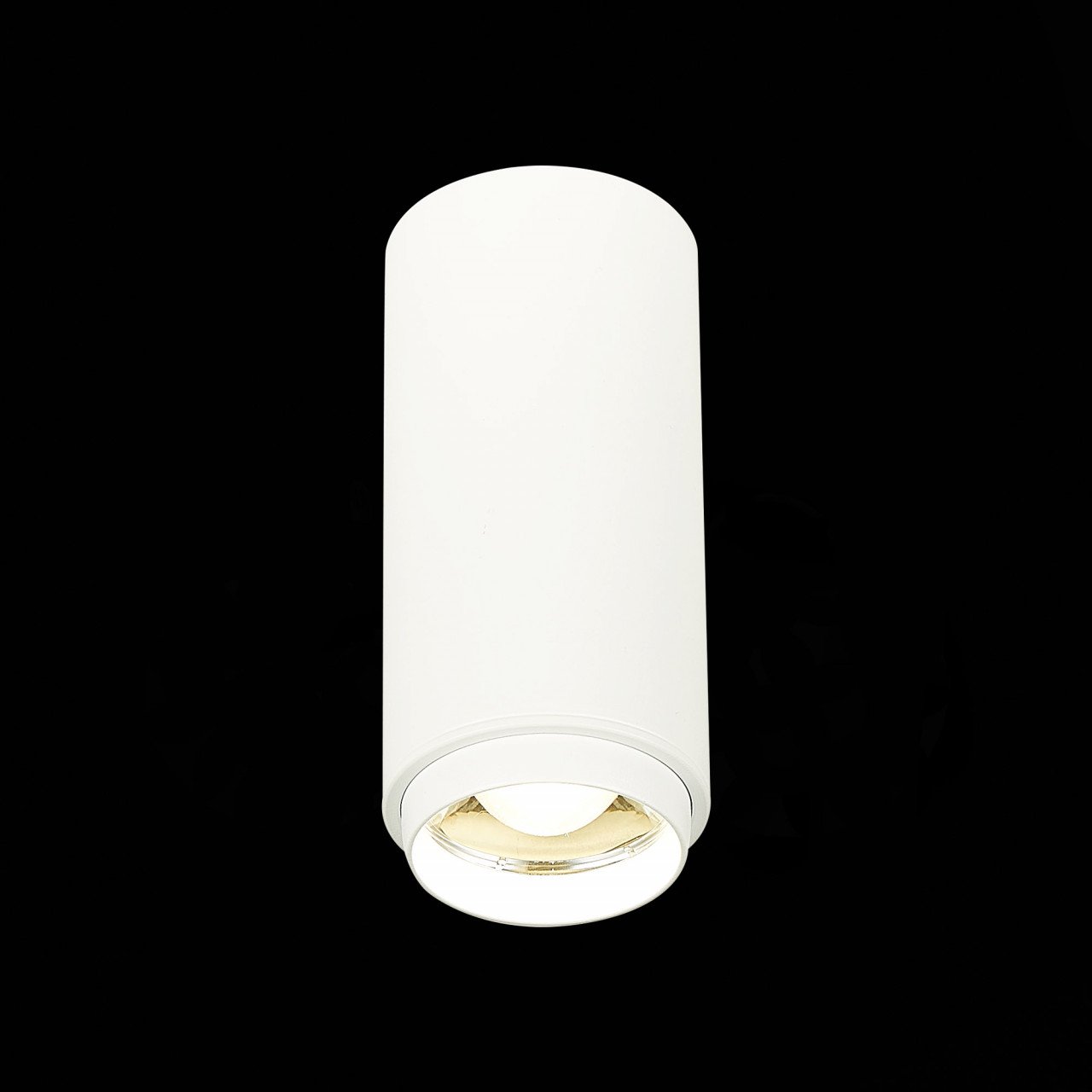 ST600.542.10 Светильник потолочный Zoom Белый LED 1*10W 4000K 1 000Lm Ra>80 15-60° IP20 D59xH130 170 - фото, цена