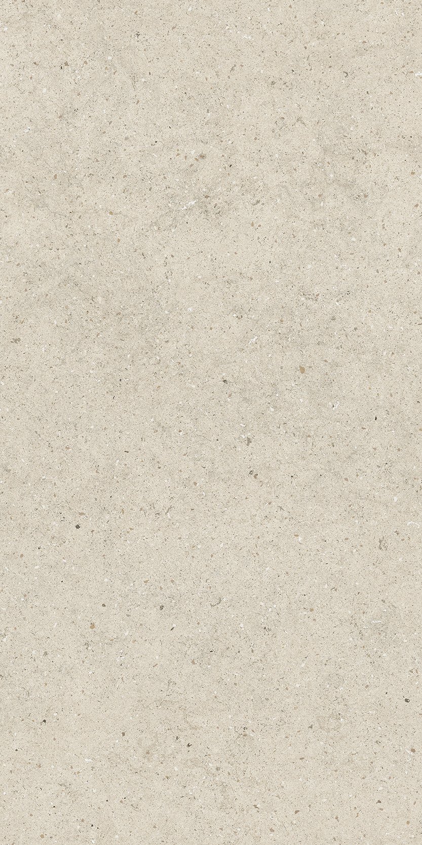 Форум Стоун  Пьюр 60X120