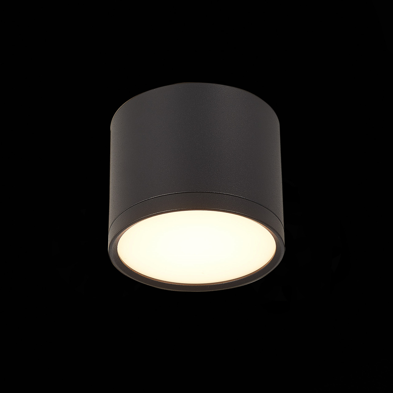 ST113.432.09 Светильник потолочный Черный LED 1*9W 3000K 702Lm Ra>90 120° IP20 D88xH75 170-240V - фото, цена