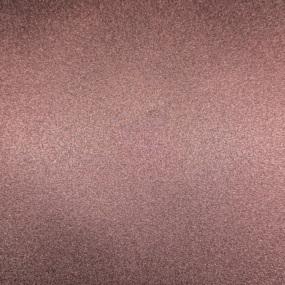 AP95013