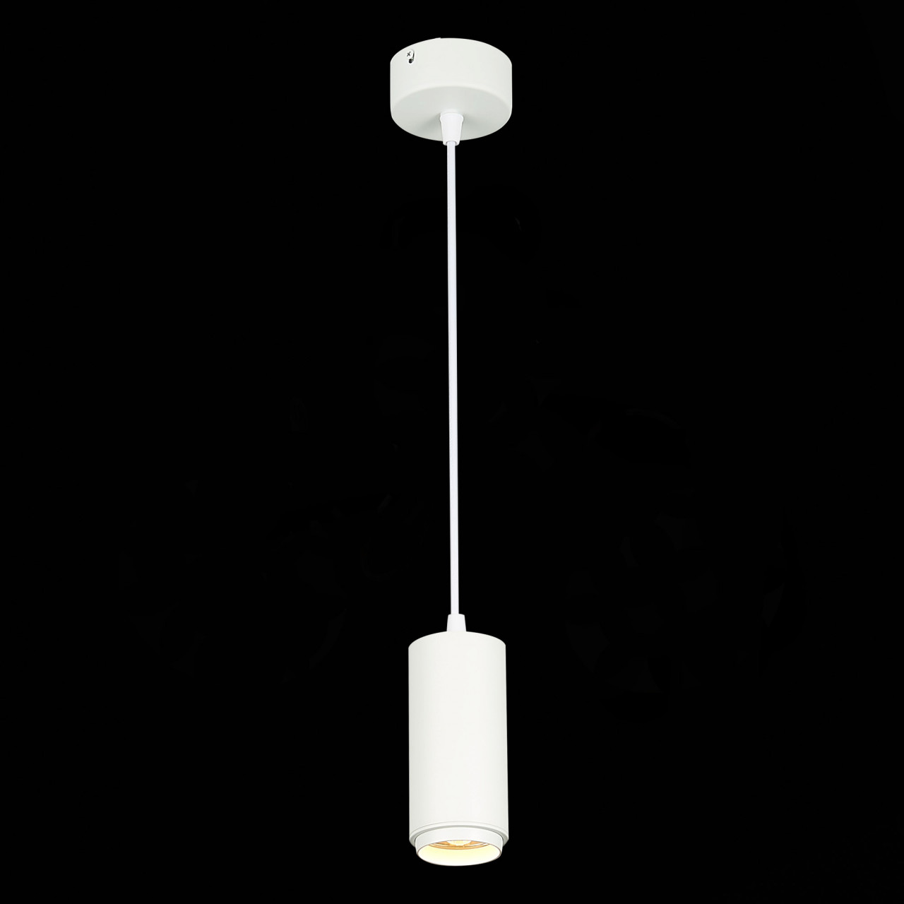ST600.533.10 Светильник подвесной Zoom Белый LED 1*10W 3000K 1 000Lm Ra>80 15-60° IP20 D59xH130 170- - фото, цена