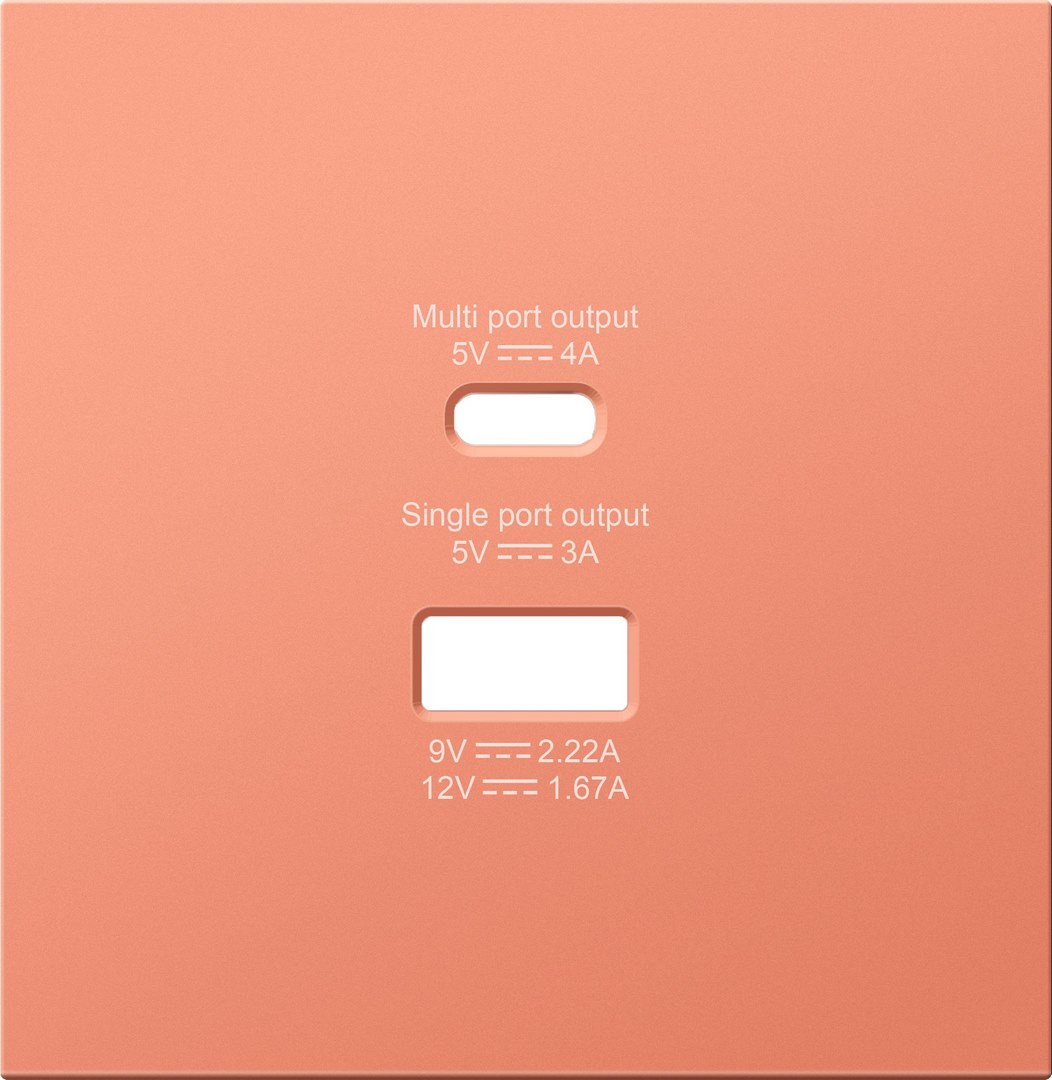 Накладка для розеток USB A+C, серия R98