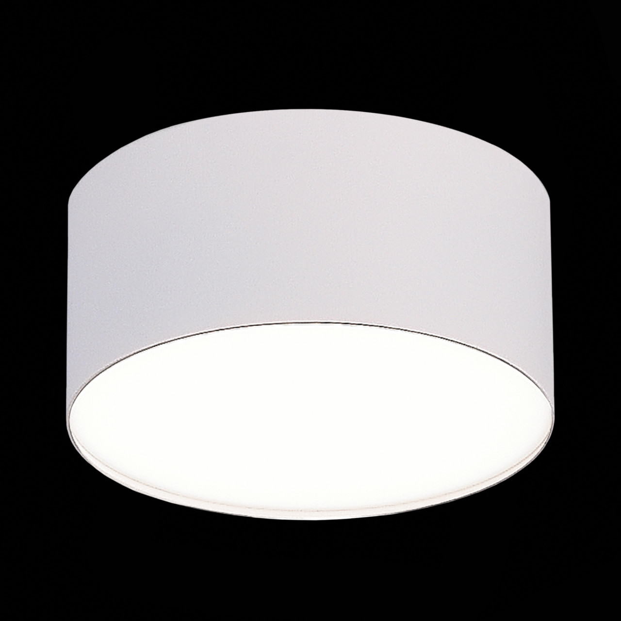 ST606.542.12 Светильник потолочный Белый LED 1*12W 4000K 1 080Lm Ra>90 120° IP20 D120xH55 185-265V - фото, цена