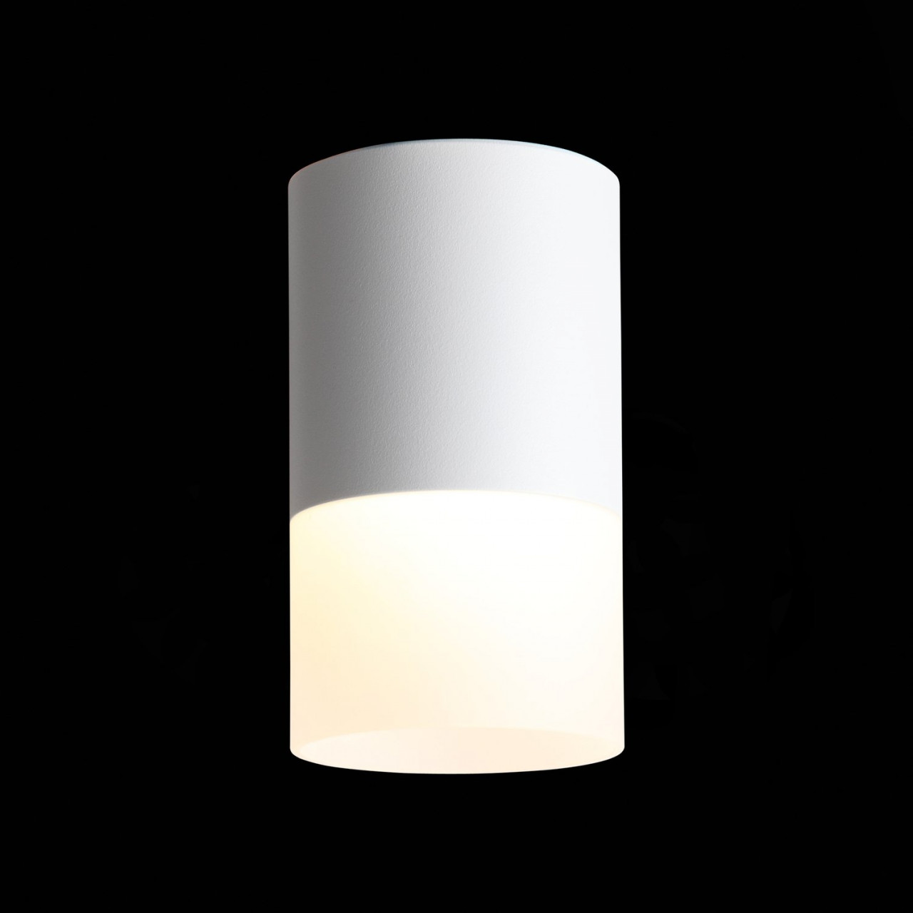 ST100.502.10 Светильник потолочный Белый LED 1*10W 3000K 780Lm Ra>80 120° D78xH135 170-240V - фото, цена