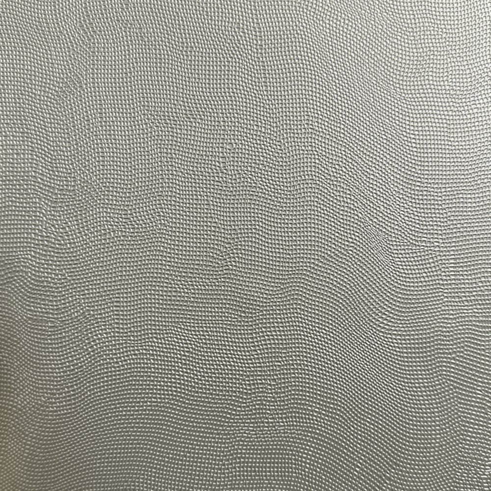 AP06013