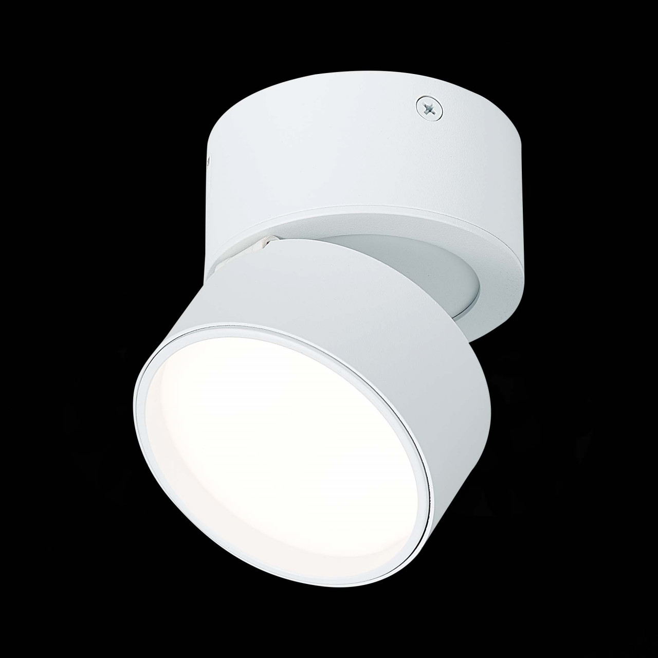 ST651.542.09 Светильник потолочный поворотный Белый LED 1*9W 4000K 720Lm Ra>90 120° IP20 D85xH87 170 - фото, цена