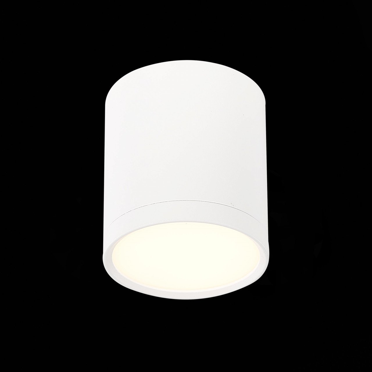 ST113.532.05 Светильник потолочный Белый LED 1*5W 3000K 390Lm Ra>90 120° IP20 D68xH75 170-240V - фото, цена