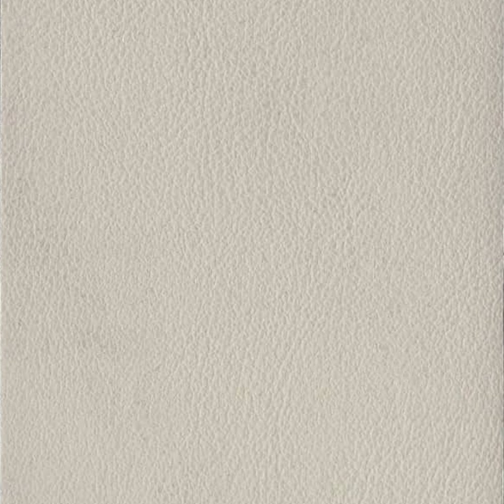 AP10-1088