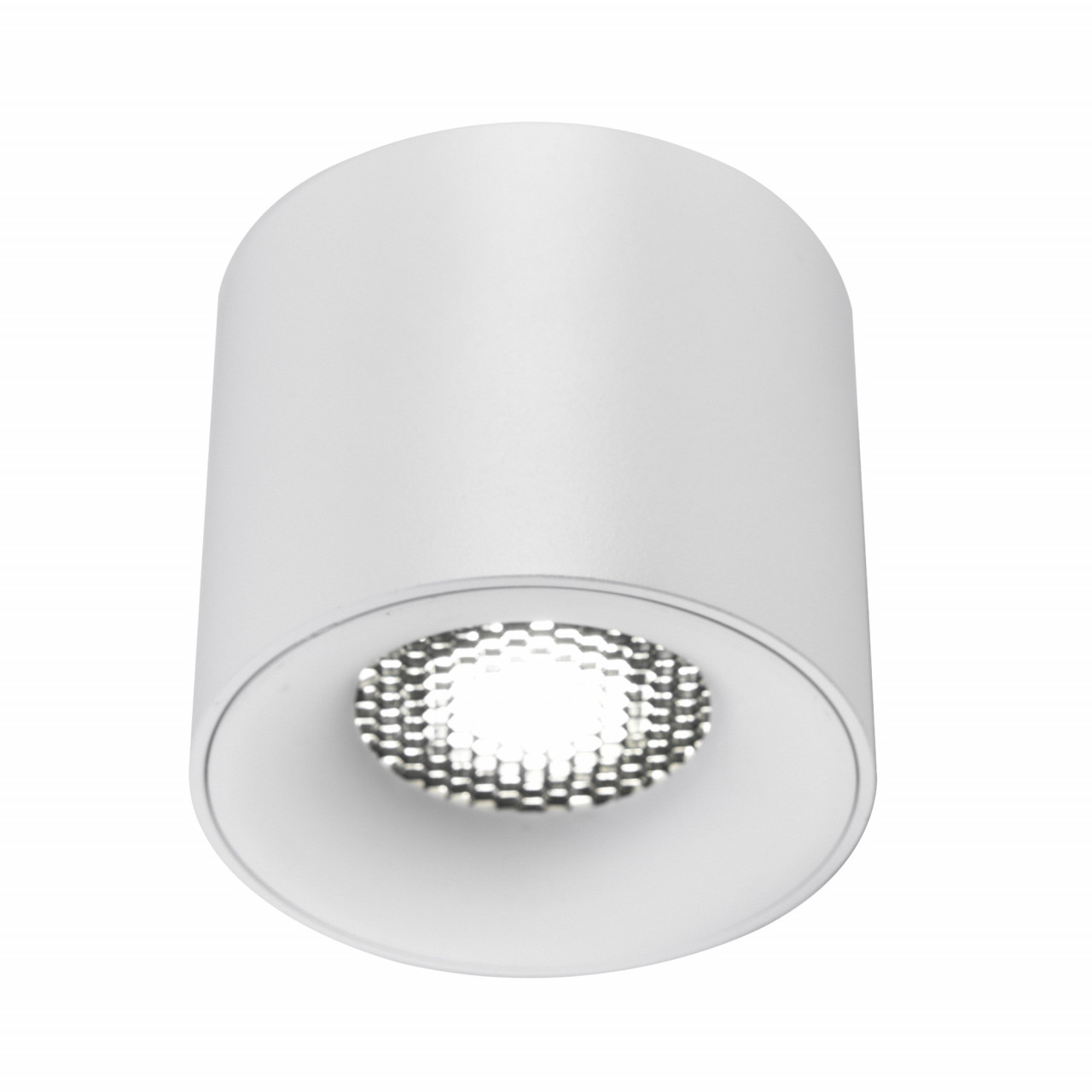 ST761.533.10 Светильник потолочный белый LED 1*10W 3000K 530Lm Ra 36° IP20 D80xH70 170-240VV - фото, цена