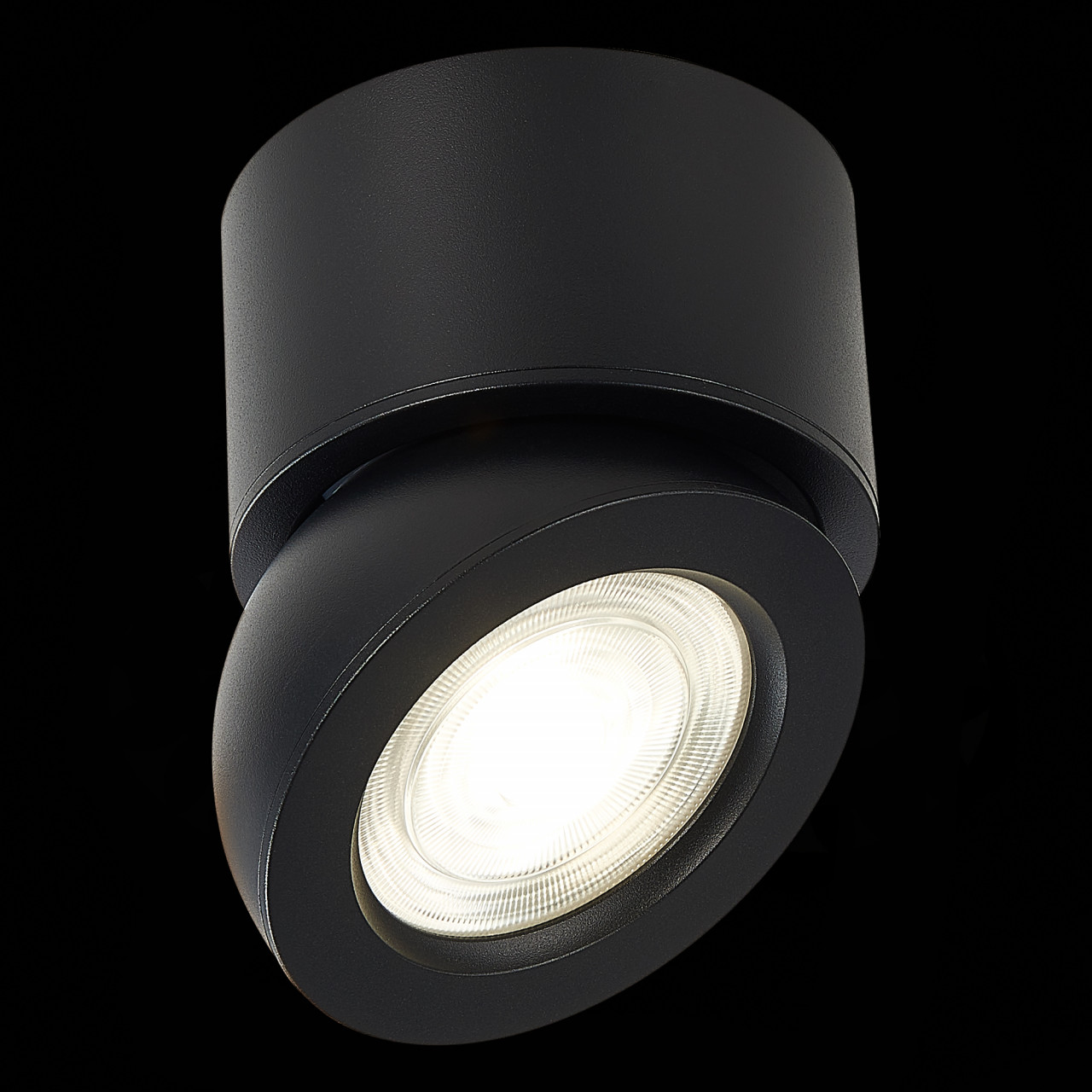 ST654.442.10 Светильник потолочный Черный LED 1*10W 4000K 850Lm Ra>90 38° IP20 D95xH96 180-240V - фото, цена