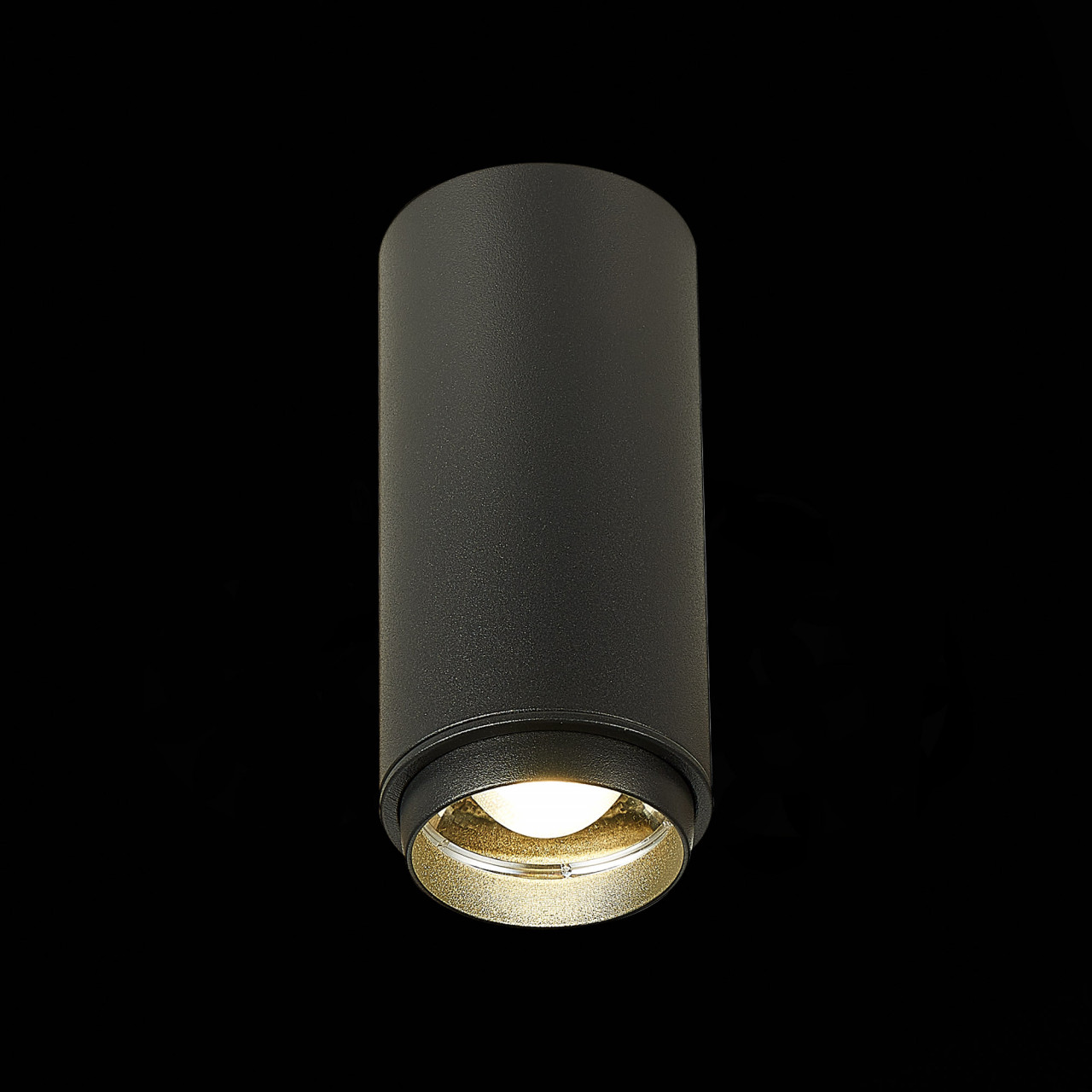 ST600.442.10 Светильник потолочный Zoom Черный LED 1*10W 4000K 1 000Lm Ra>80 15-60° IP20 D59xH130 17 - фото, цена