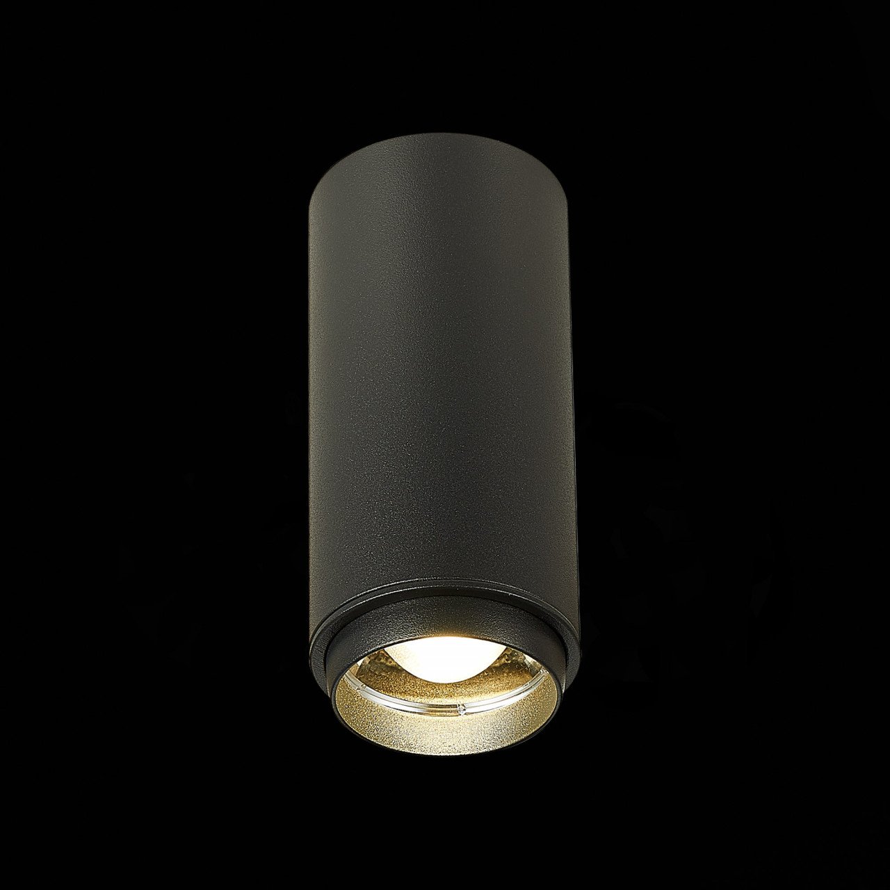 ST600.442.10 Светильник потолочный Zoom Черный LED 1*10W 4000K 1 000Lm Ra>80 15-60° IP20 D59xH130 17 - фото, цена