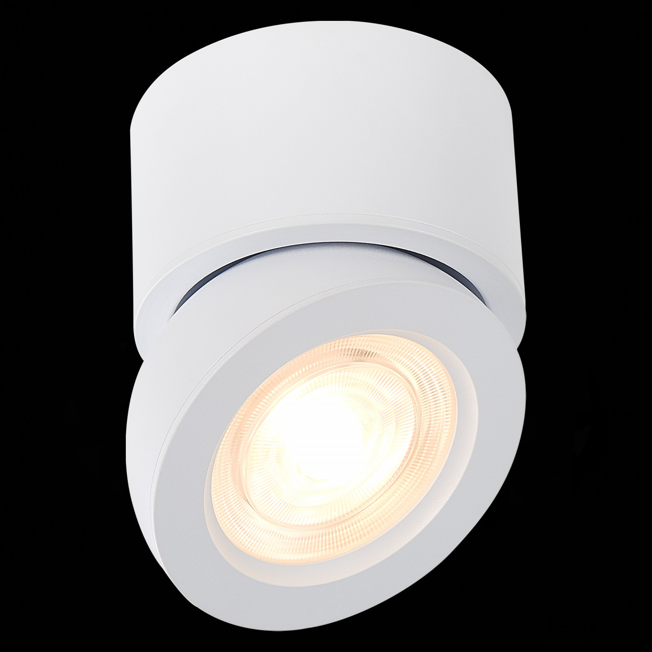 ST654.542.10 Светильник потолочный Белый LED 1*10W 4000K 850Lm Ra>90 38° IP20 D95xH96 180-240V - фото, цена