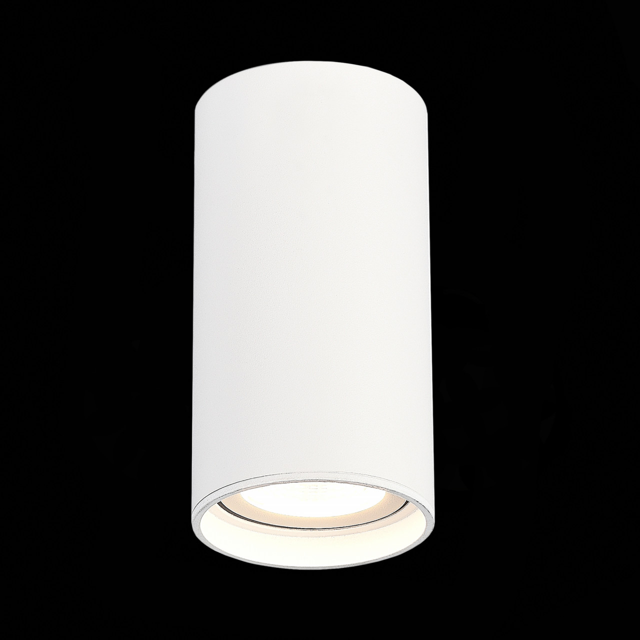 ST157.532.15 Светильник потолочный Белый LED 1*15W 3000K 1 200Lm Ra>90 60° IP44 D75xH140 220-265V - фото, цена