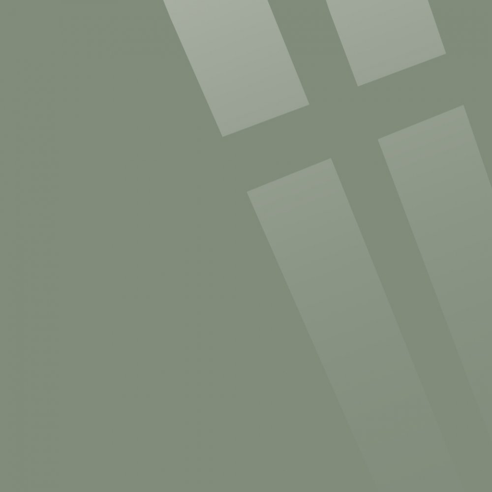 AP519