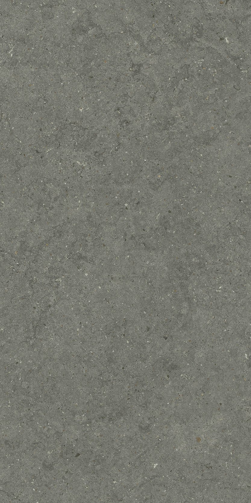Форум Стоун Айрон 60X120