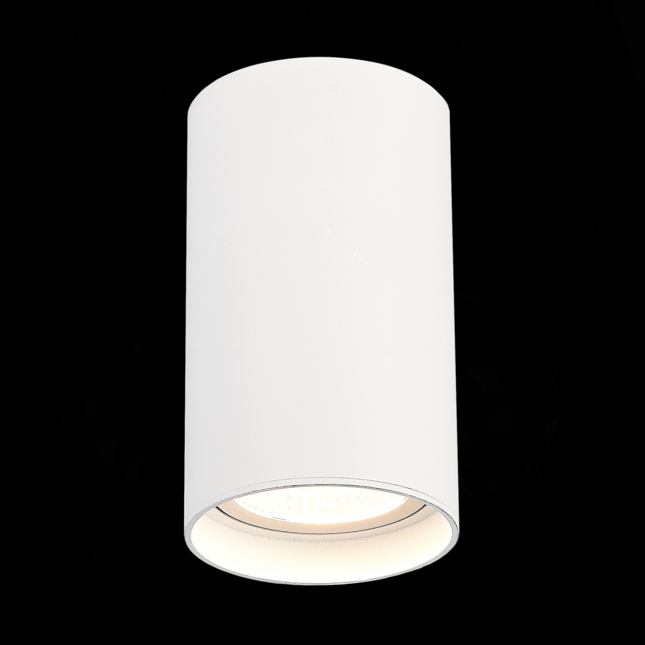 ST157.542.20 Светильник потолочный Белый LED 1*20W 4000K 1 600Lm Ra>90 60° IP44 D95xH150 220-265V - фото, цена