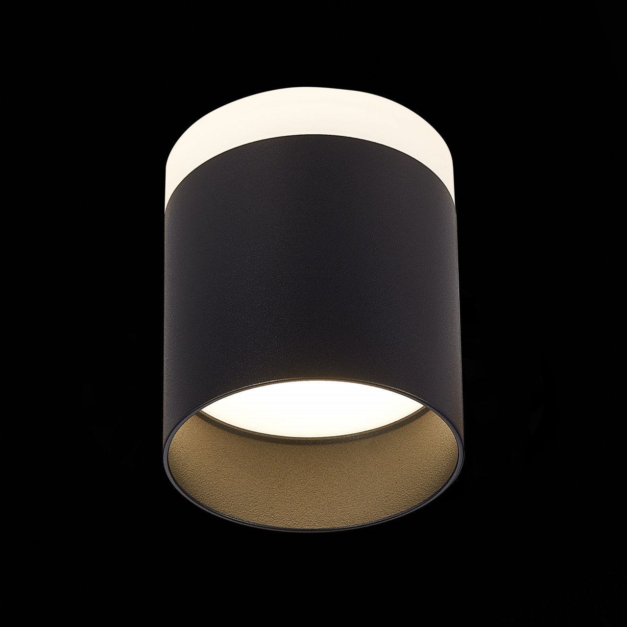 ST102.442.12 Светильник потолочный Черный LED 1*12W 4000K 936Lm Ra>80 120° IP20 D100xH90 170-240V - фото, цена