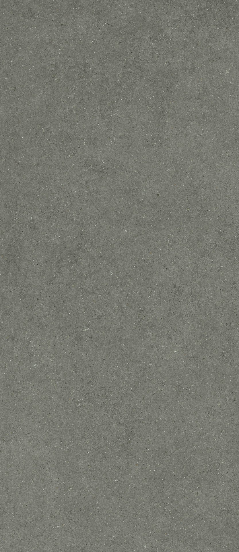 Форум Стоун Айрон 120X278