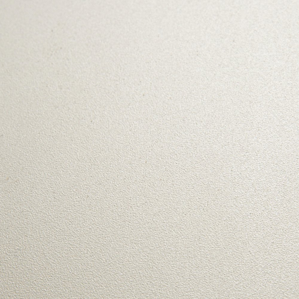 AP90013
