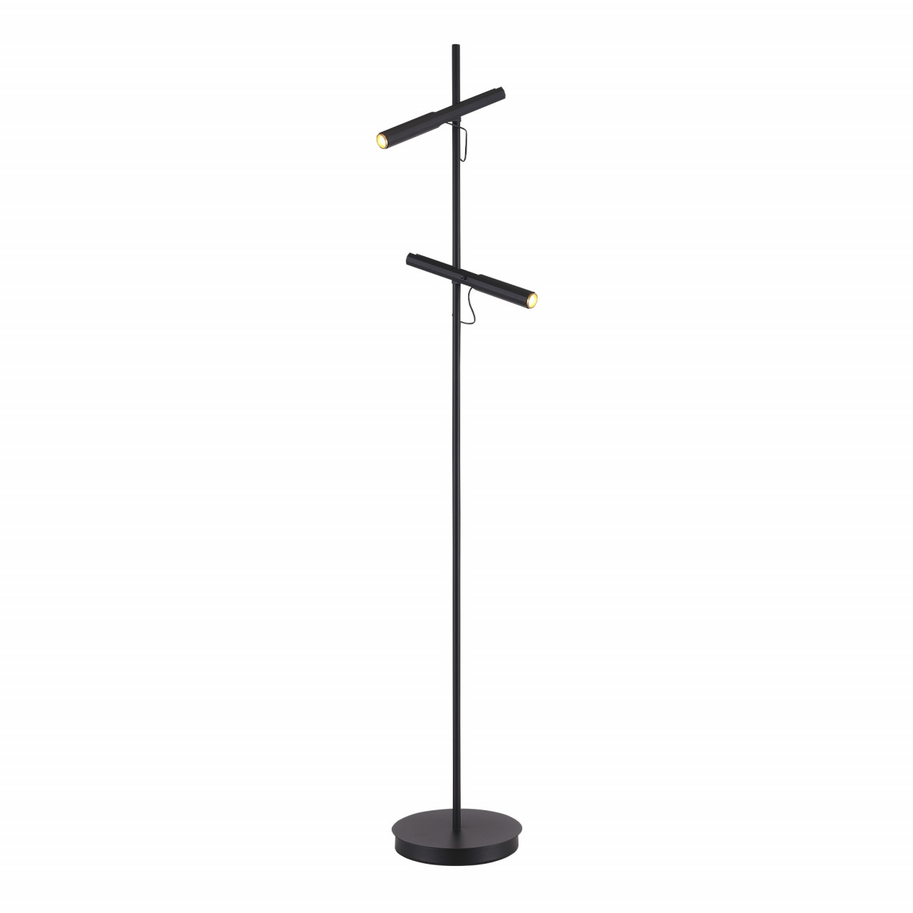 SL6210.405.02 Светильник напольный ST-Luce Черный/Черный, Золотистый LED 2*3W 3000K - фото, цена