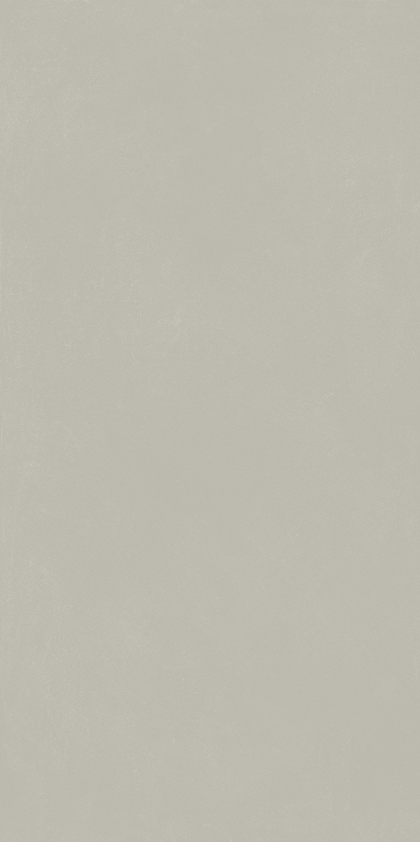 Форум Слим Сильвер 60X120