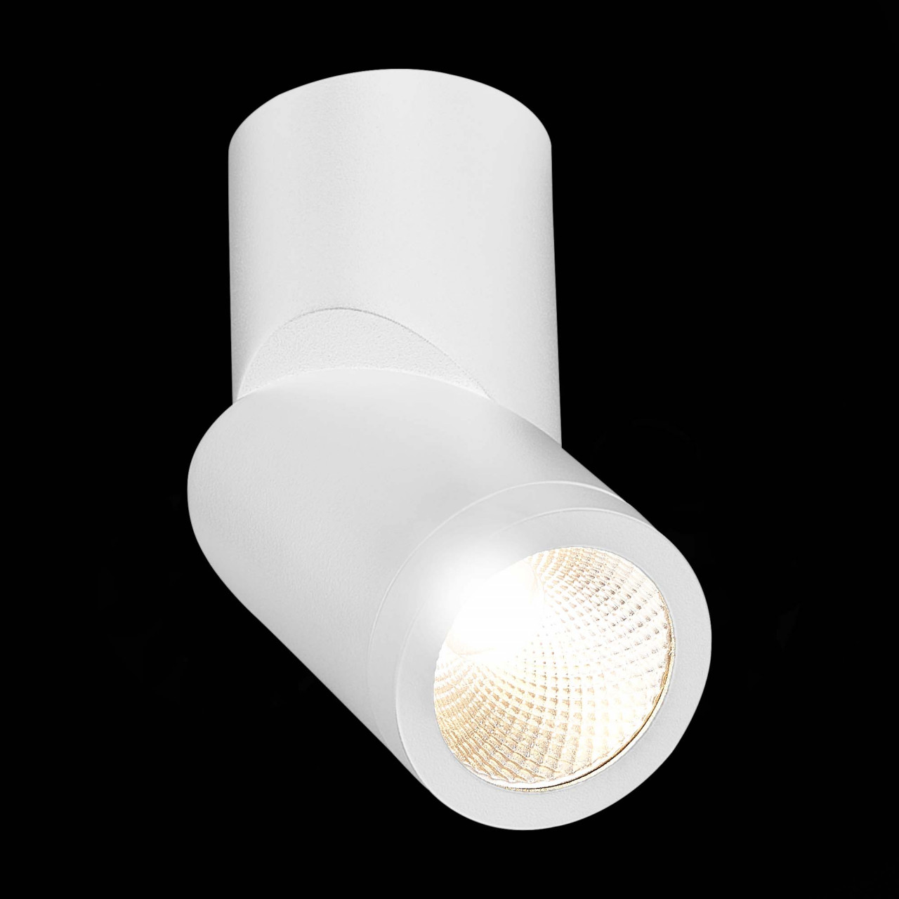 ST650.532.10 Светильник потолочный Белый LED 1*10W 3000K 800Lm Ra>90 38° IP44 D62xH151 165-265V - фото, цена