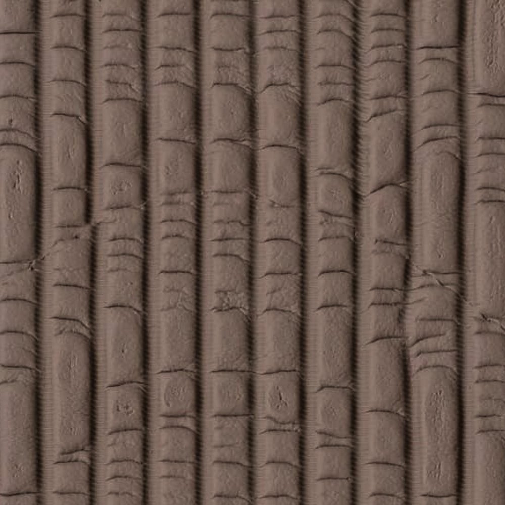AP21-5088