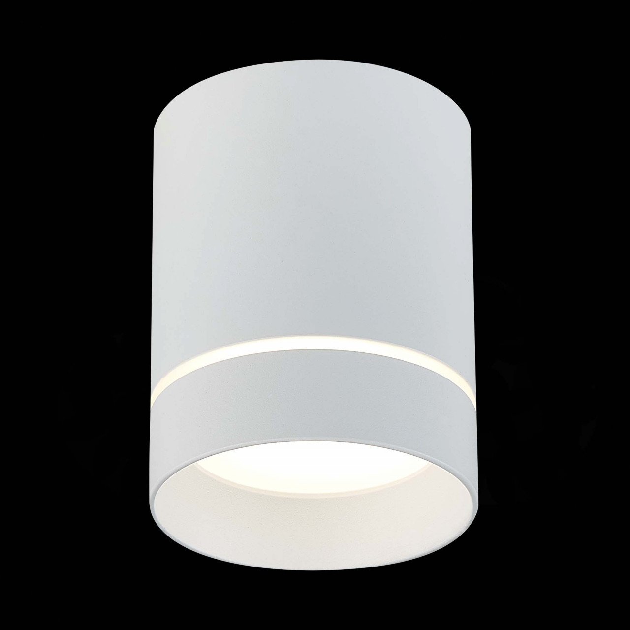 ST115.542.12 Светильник потолочный Белый LED 1*12W 4000K 840Lm Ra>90 120° IP20 D79xH100 170-240V - фото, цена