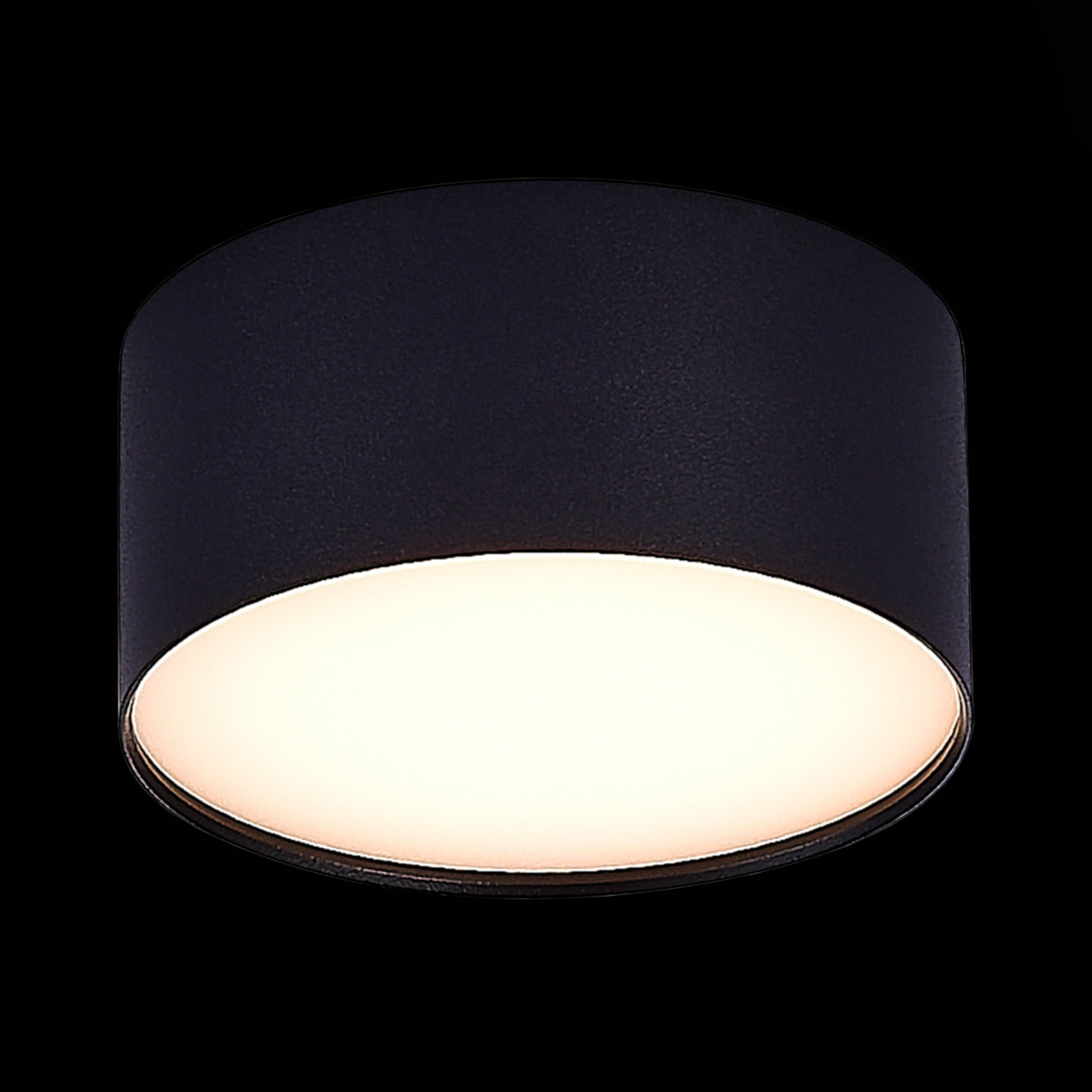 ST606.432.12 Светильник потолочный Черный LED 1*12W 3000K 1 080Lm Ra>85 120° IP20 D120xH55 185-265V - фото, цена