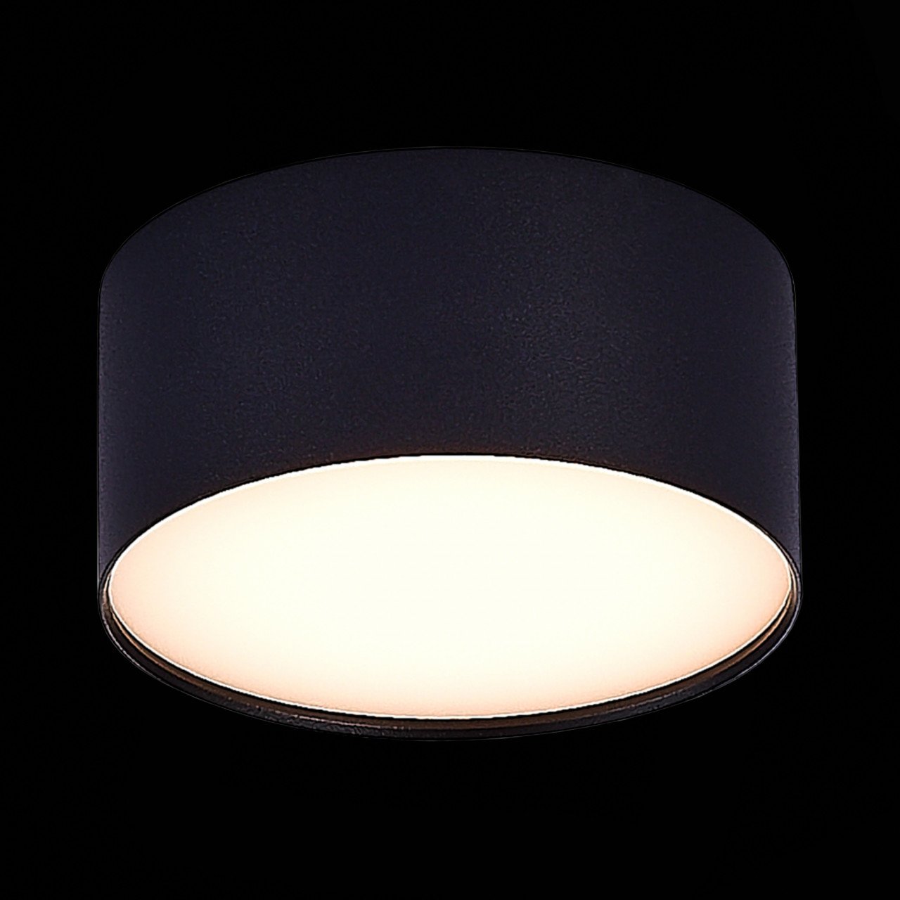 ST606.432.12 Светильник потолочный Черный LED 1*12W 3000K 1 080Lm Ra>85 120° IP20 D120xH55 185-265V - фото, цена