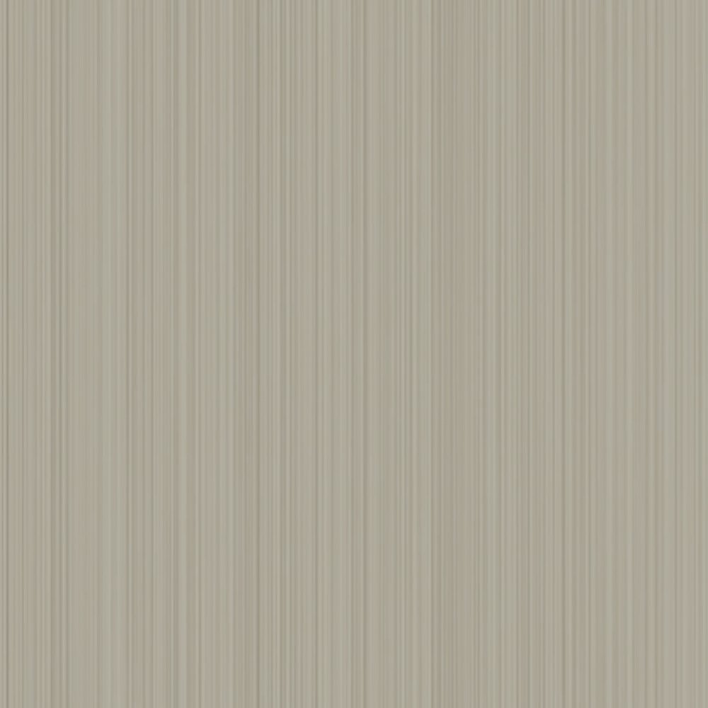 AP1007