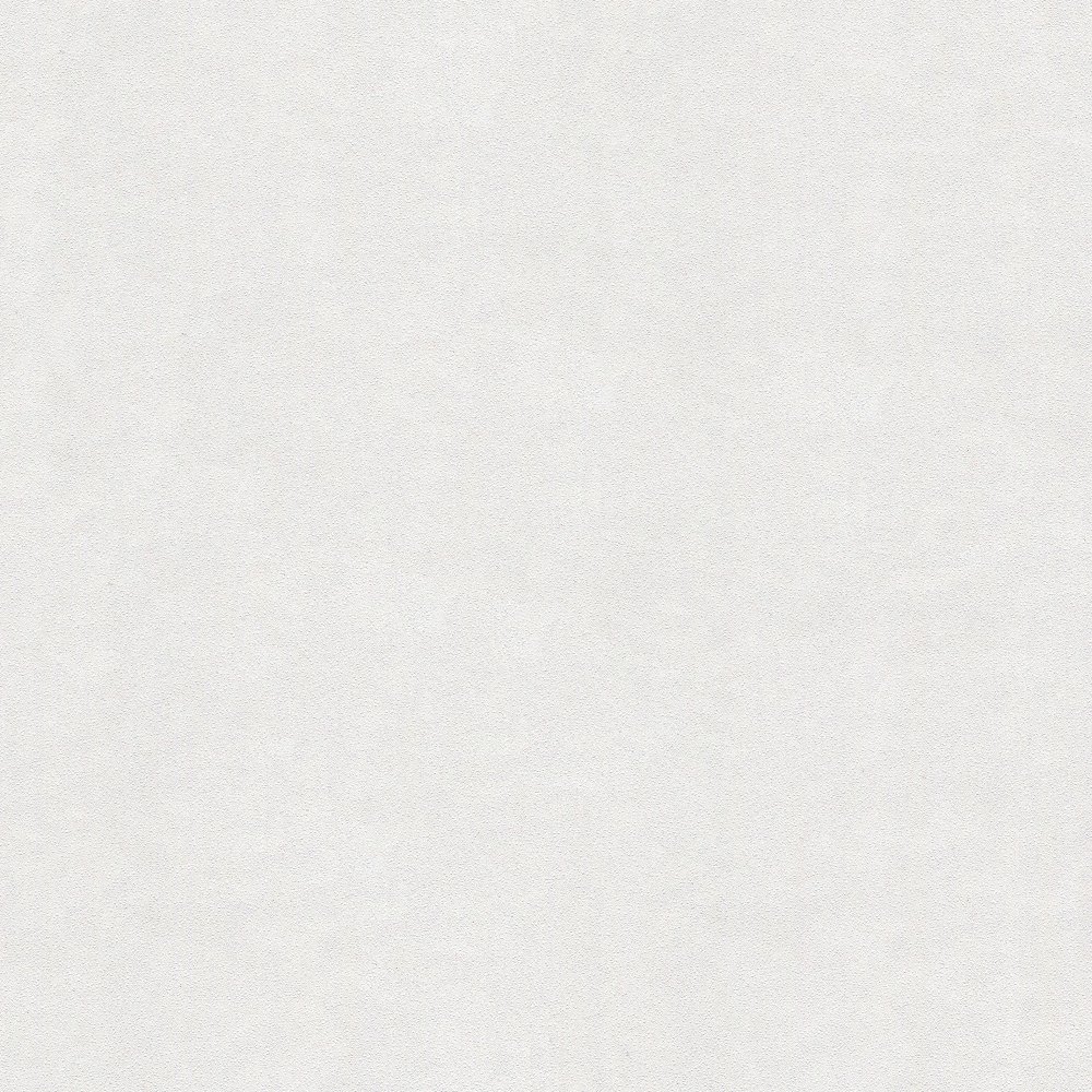AP1003