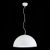 SL279.503.01 Светильник подвесной ST-Luce Белый/Белый, Серебристый E27 1*60W - фото, цена