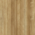 AP57018