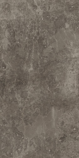 Рум Стоун Грэй 60X120 Пат