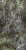 Стелларис Мадагаскар Дарк 80X160 Люкс