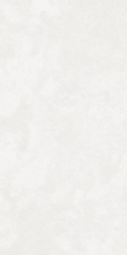 Керамогранит Kerranova Централ Парк Park White Matt. 60x120