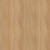 AP61862 TF