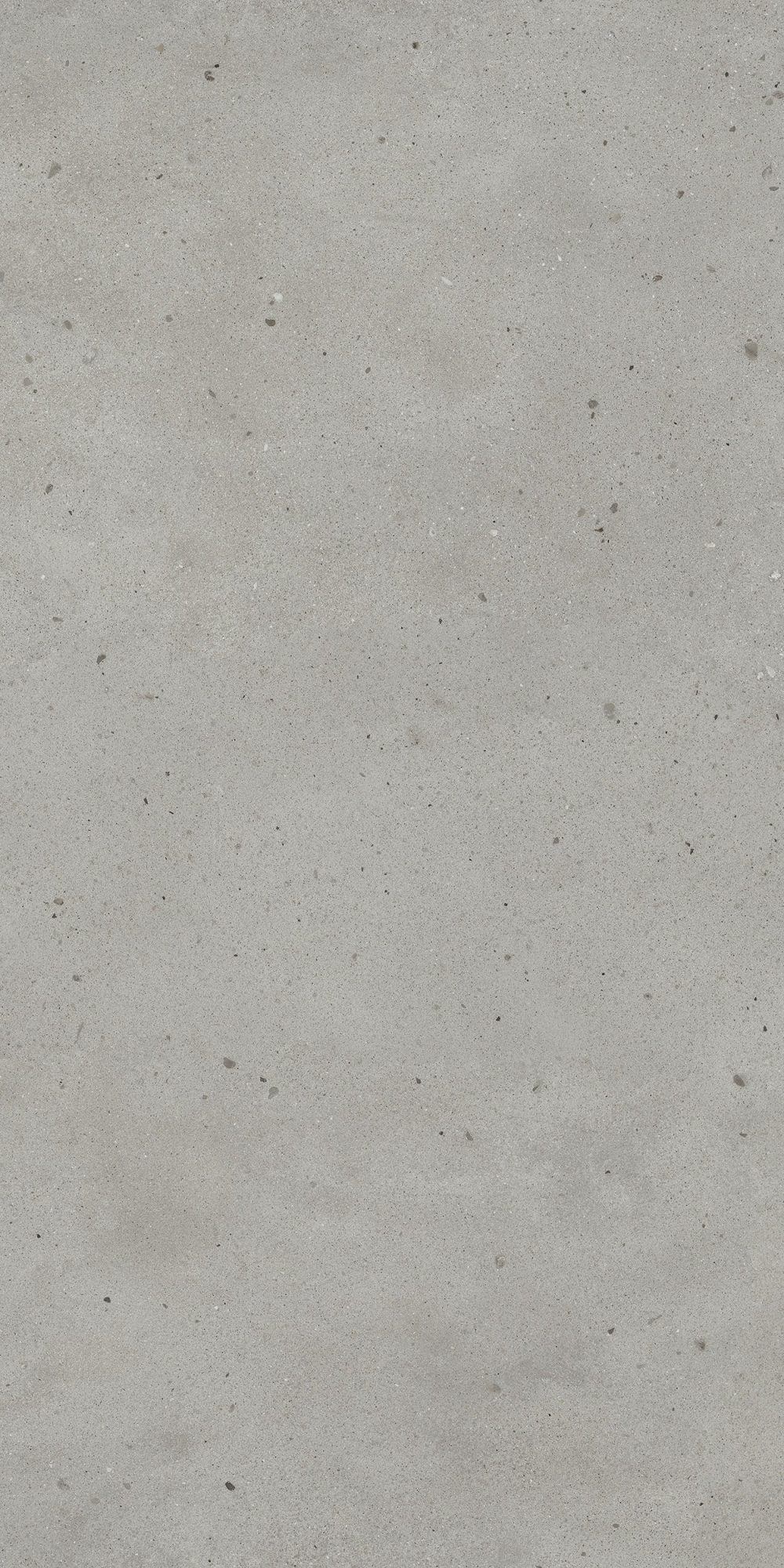 Авангард Сильвер 60X120 Рет